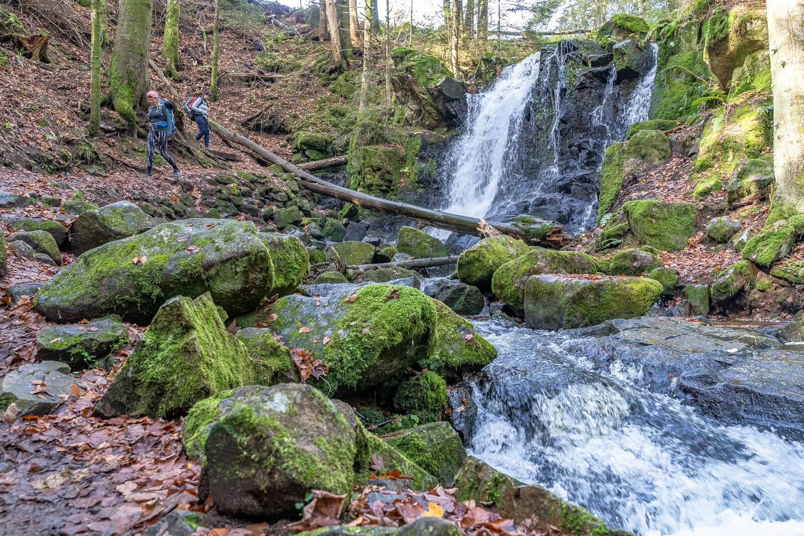  Wasserfall in der Windbergschlucht bei St. Blasien entlang des Schluchtensteigs 