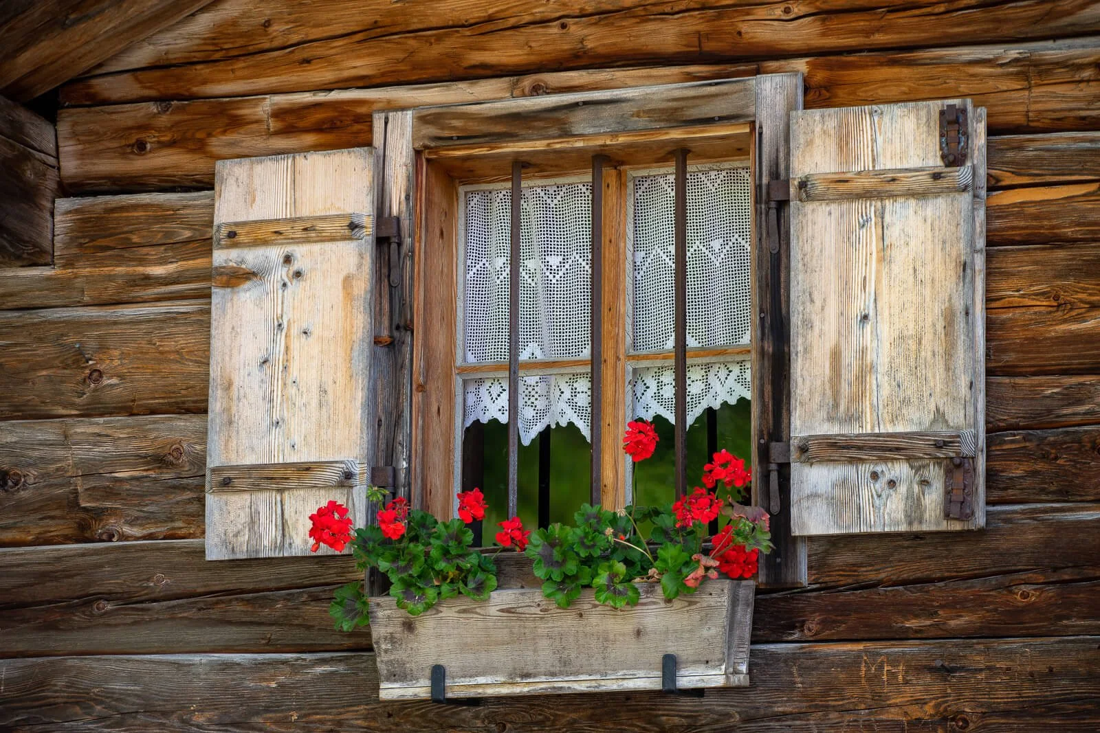  Almfenster mit roten Geranien auf der Schärtenalm im Berchtesgadener Land 