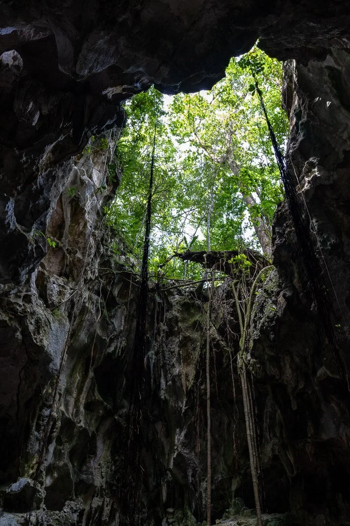  Höhle im Nationalpark Los Haitises mit Lichteinfall von oben, tropischer Vegetation und Taíno-Kultstätte in der Dominikanischen Republik 