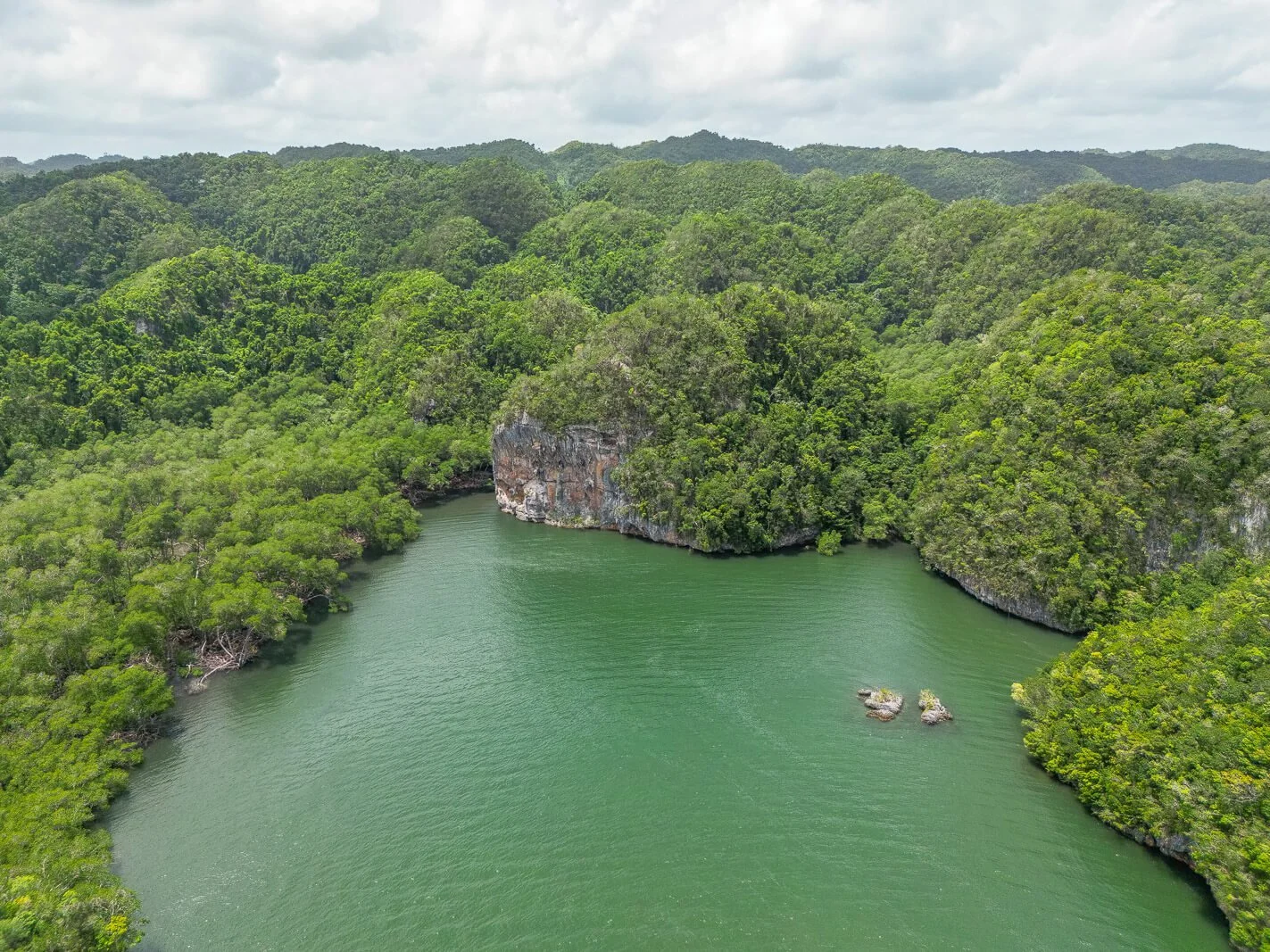  Lagune im Nationalpark Los Haitises mit Karstfelsen und dichten Mangrovenwäldern an der Nordküste der Dominikanischen Republik 