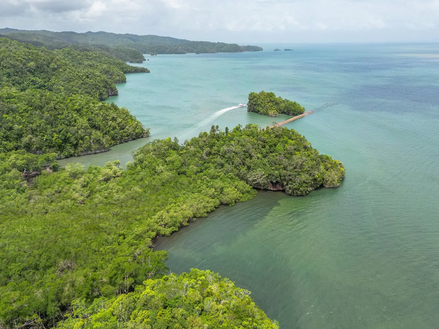  Mangrovenküste im Nationalpark Los Haitises nahe der Bucht von Samaná, aufgenommen aus der Drohnenperspektive 