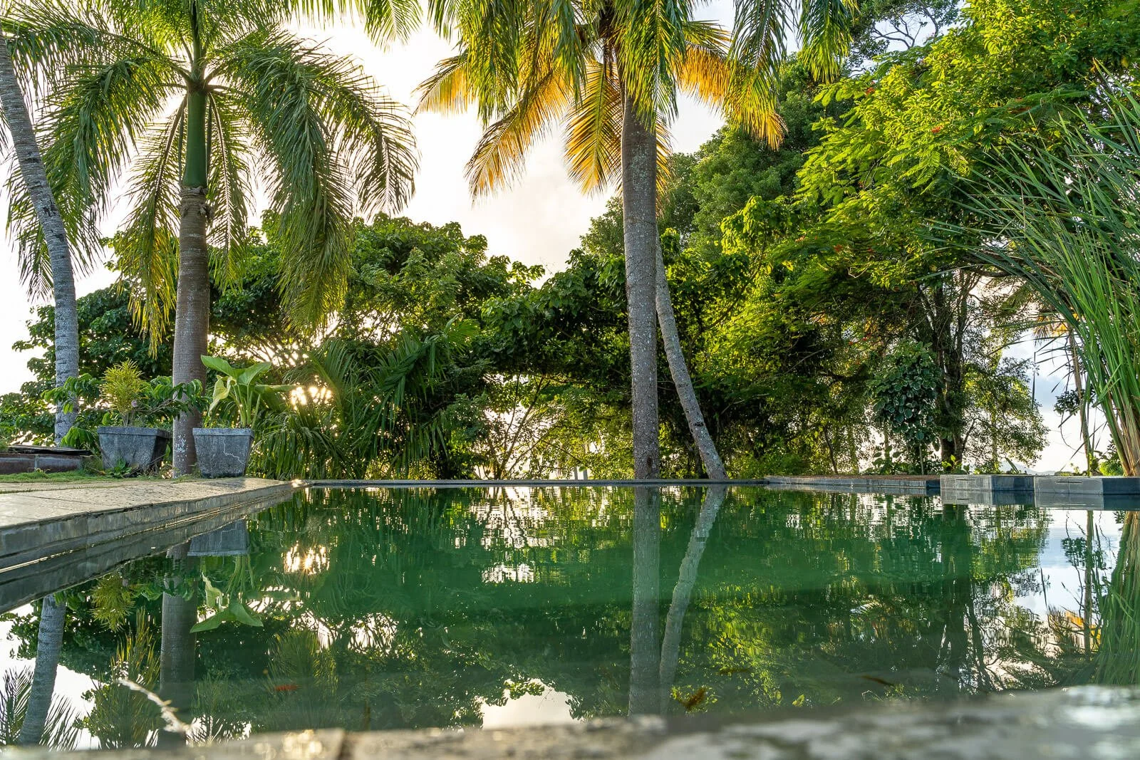  Ruhiger Pool der Hacienda Cocuyo mit Spiegelungen von Palmen und tropischem Garten im Abendlicht 