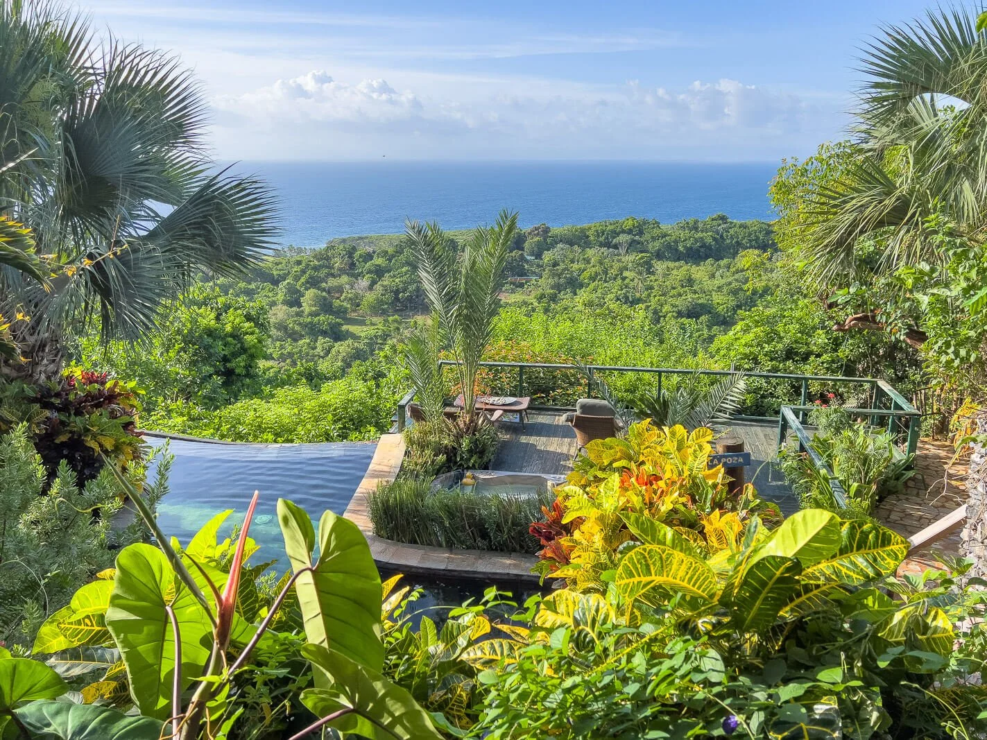  Poollandschaft des Casa El Paraíso bei Las Galeras mit Blick über Palmen bis zum Meer 