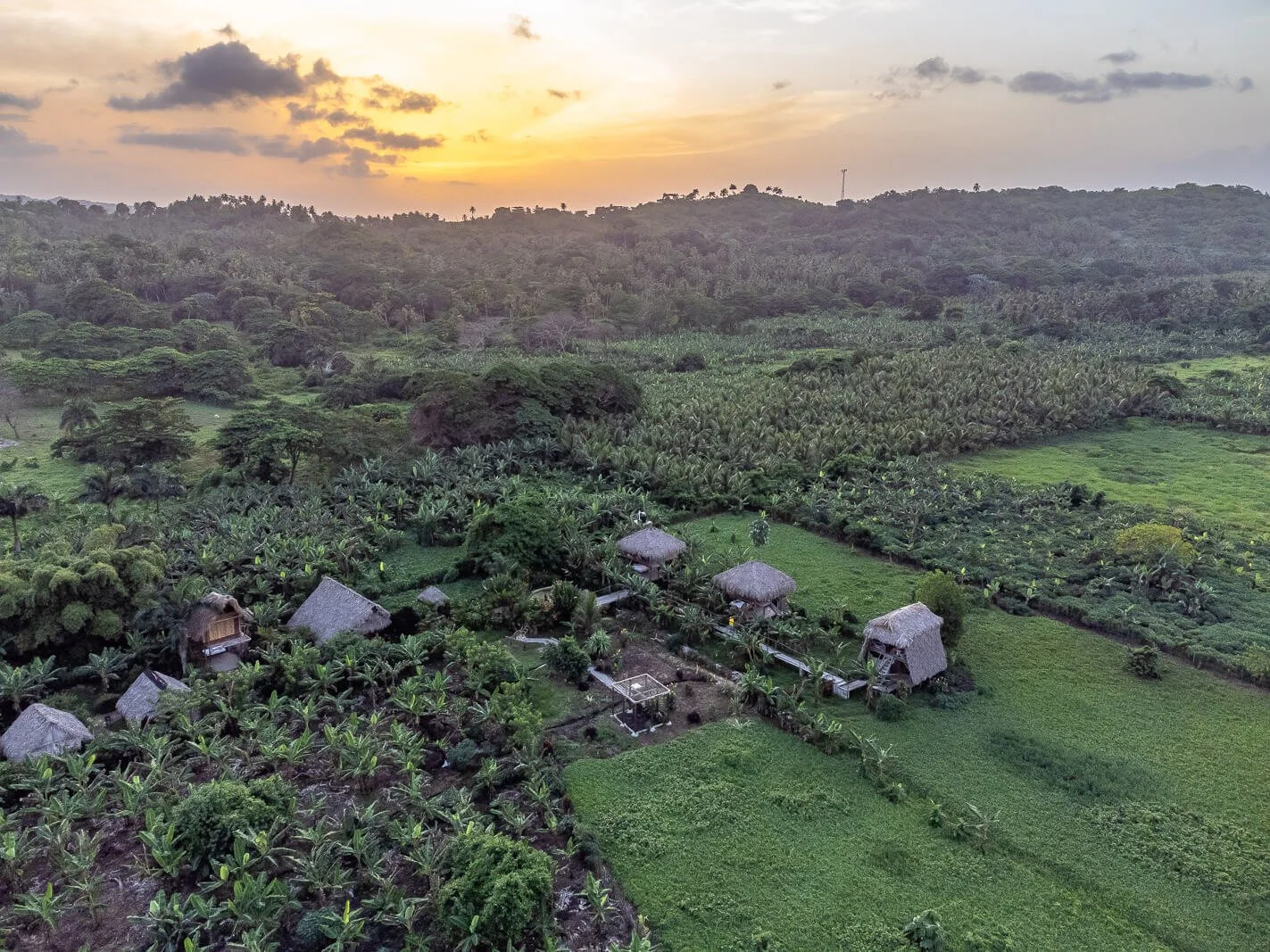 Drohnenaufnahme einer Eco-Lodge in der Dominikanischen Republik inmitten tropischer Vegetation bei weichem Abendlicht.