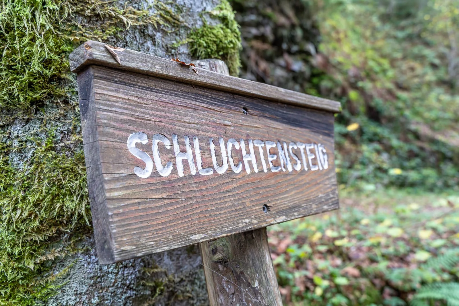 Wegweiser des Schluchtensteigs im Wald des Südschwarzwalds