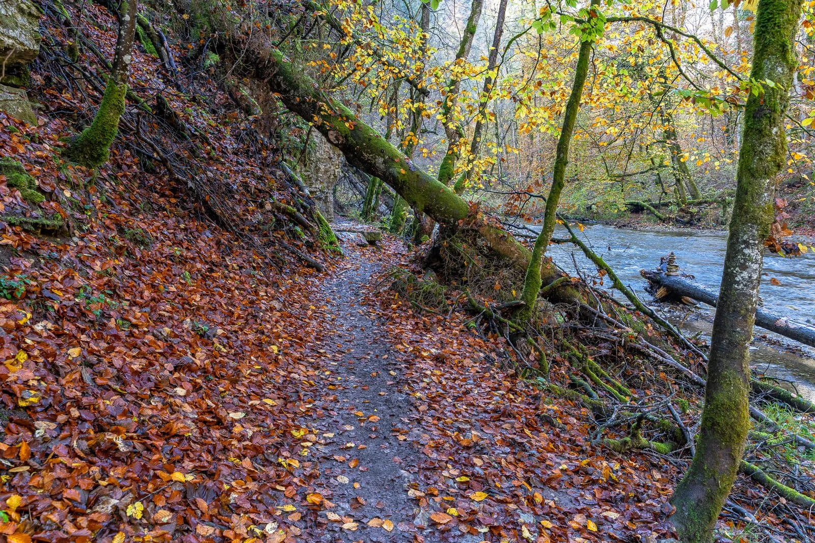 Herbstliche Wutachschlucht im Schwarzwald
