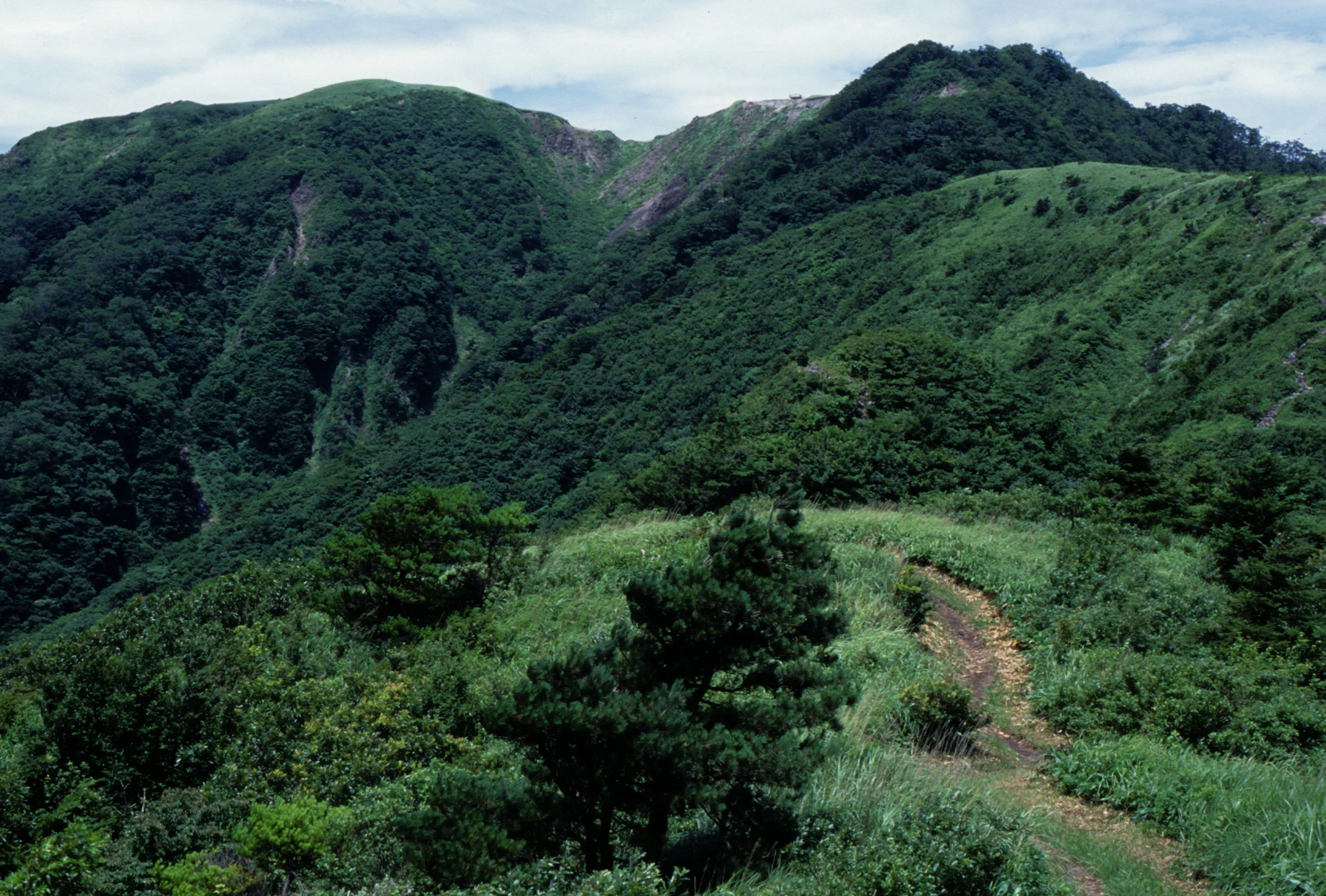初夏の男三瓶山