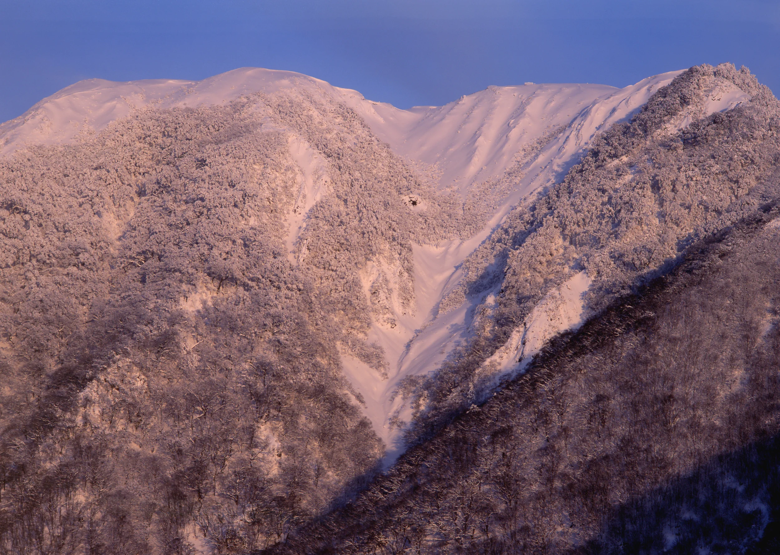 降雪の朝