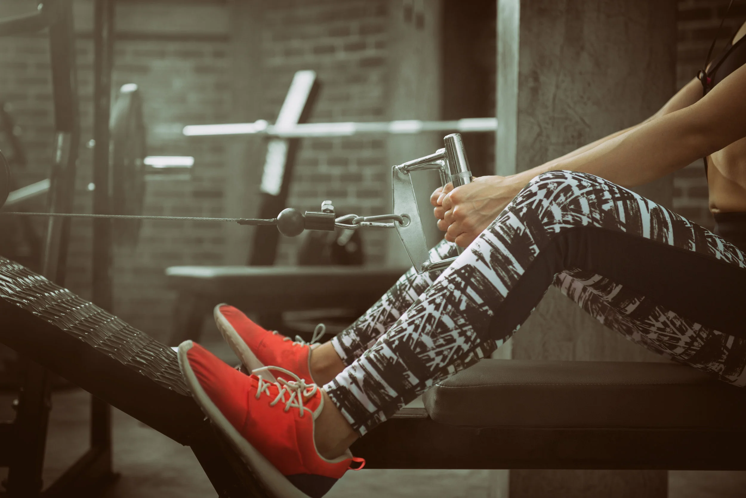 shutterstock_520129957.jpg