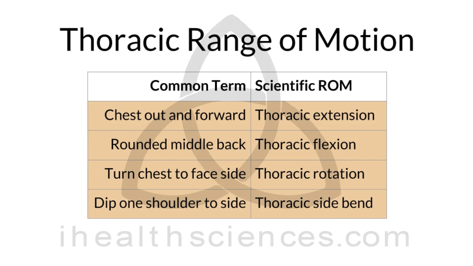 ROM 2 thoracic.png