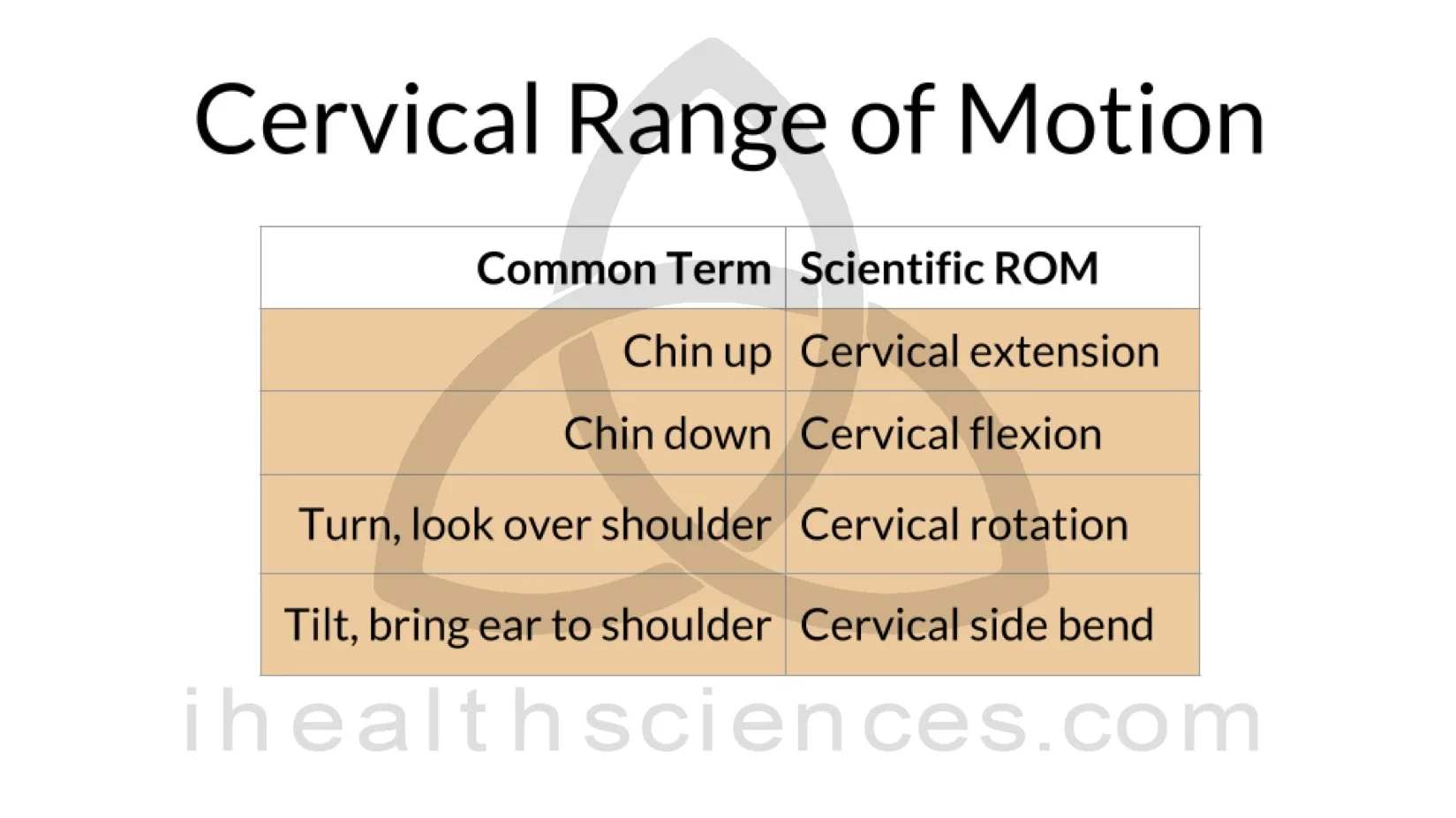 ROM+1+cervical.jpg