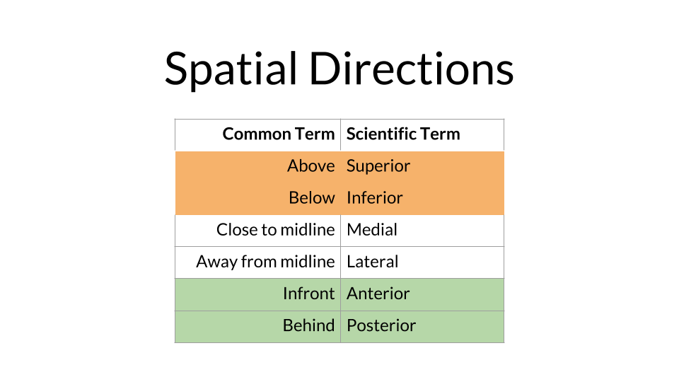 direction chart.png