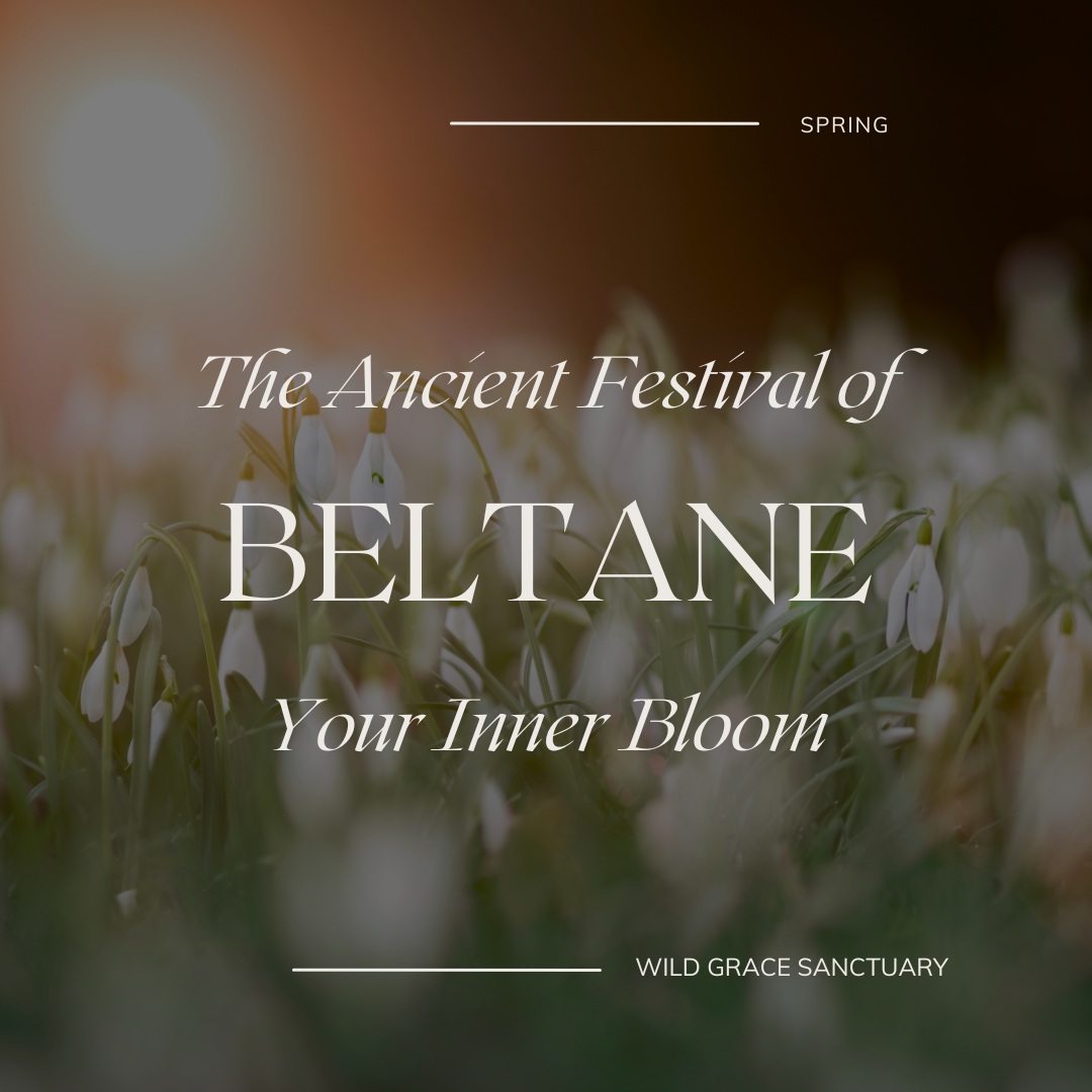 Tending the Threshold: Beltane and the Inner Bloom