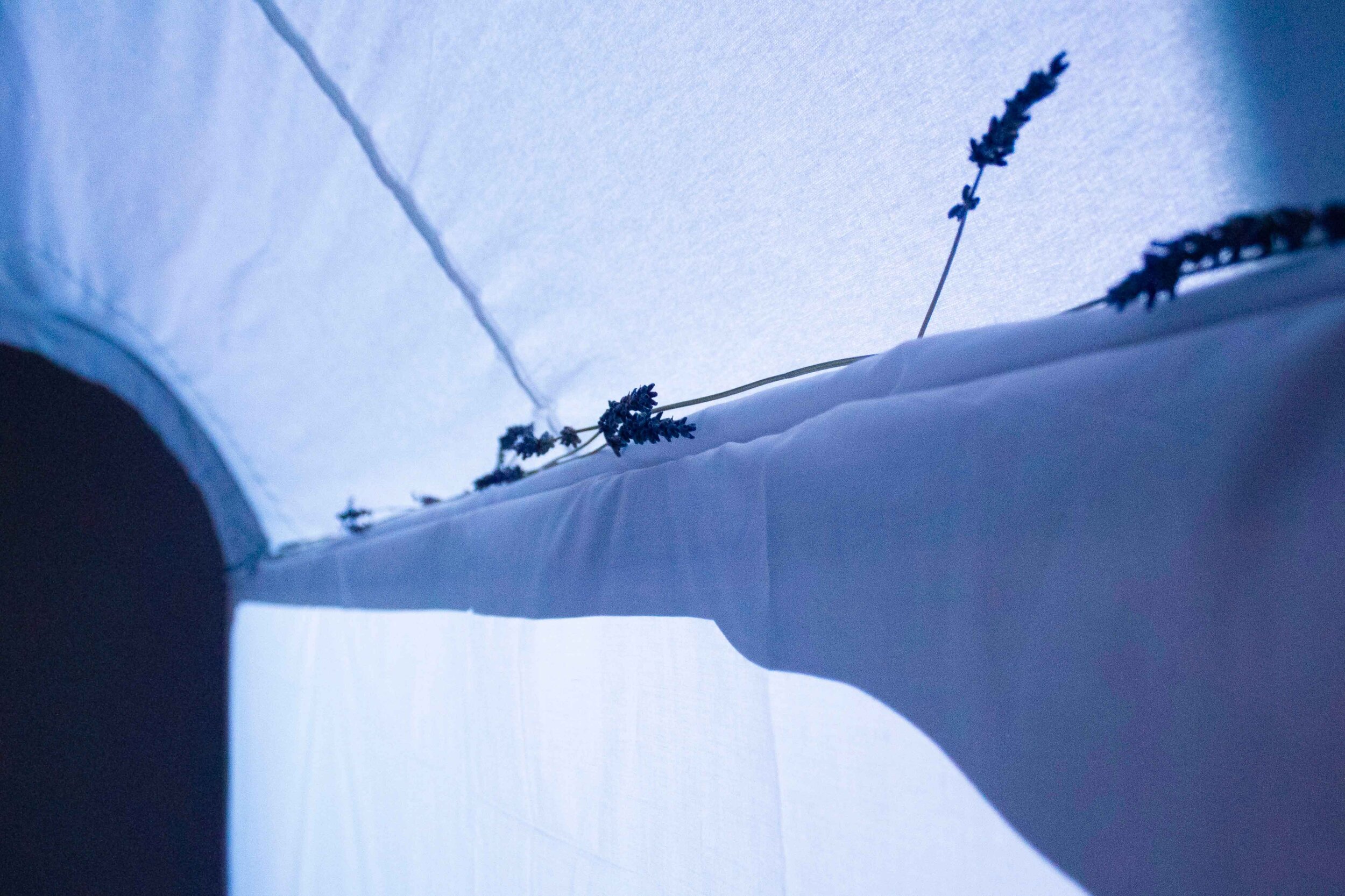 Jessica-Diaz_5-Senses-Interior-Detail.jpg