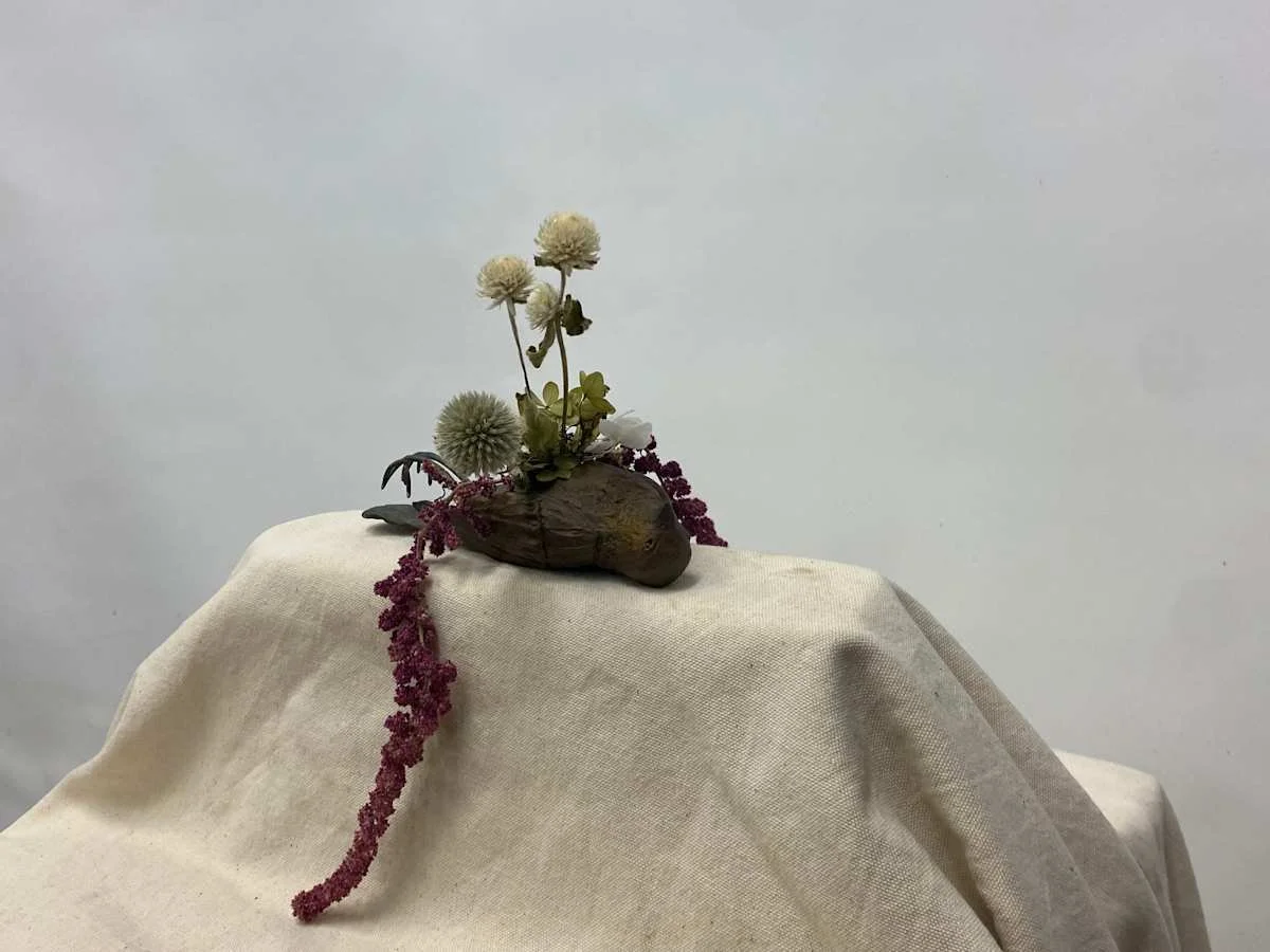 Alicia Pope - Dead Bird.jpeg