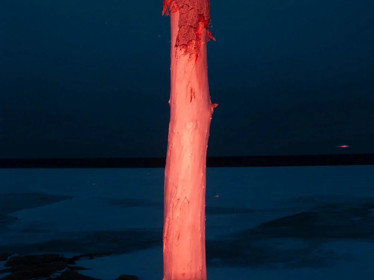 Sakinah Ben-Masaud - medium cranberry limeade with strawberries and a small lemonade no ice