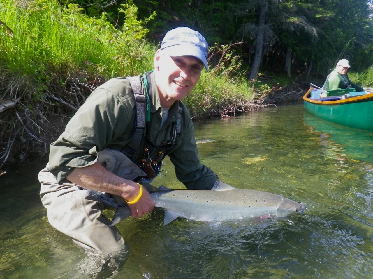 Bill Taylor, président de la FSA, remet à l’eau une belle prise capturée dans la Bonaventure. Félicitations, Bill!