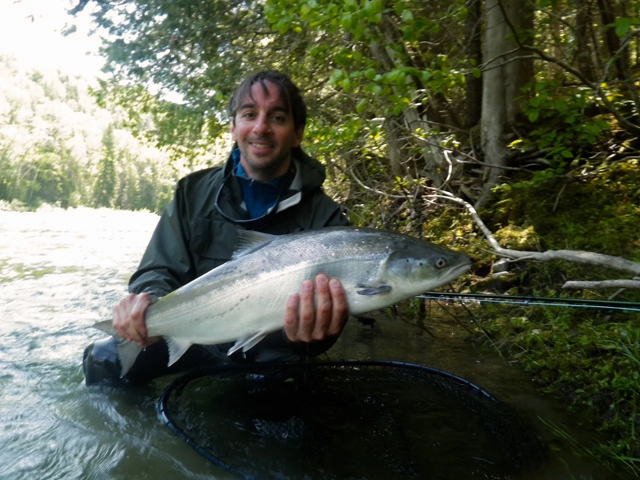 Anthony Melano, un habitué de Salmon Lodge, remet à l’eau sa prise capturée dans la Cascapédia. Félicitations, Anthony!