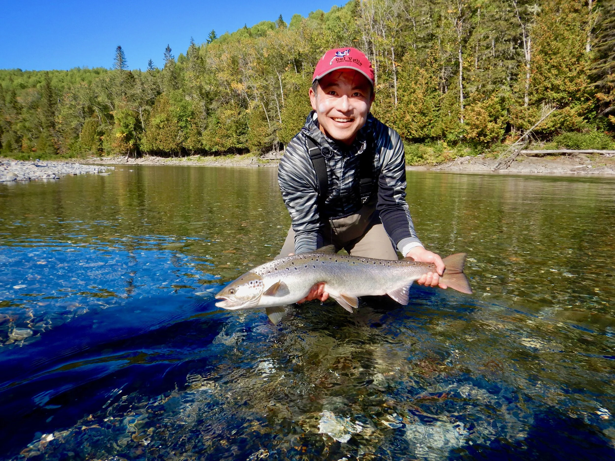Nous avons accueilli Ludwig Lin pour la première fois à Salmon Lodge cette année et voilà qu’il a capturé ce beau saumon dans la Rivière Bonaventure. Bien joué, Ludwig!