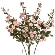 19044sml.jpg