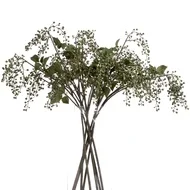 19069sml.jpg