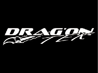 logo dragon tek site.jpg