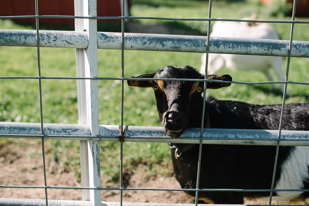 Hope Glen Farm Wedding-103.jpg