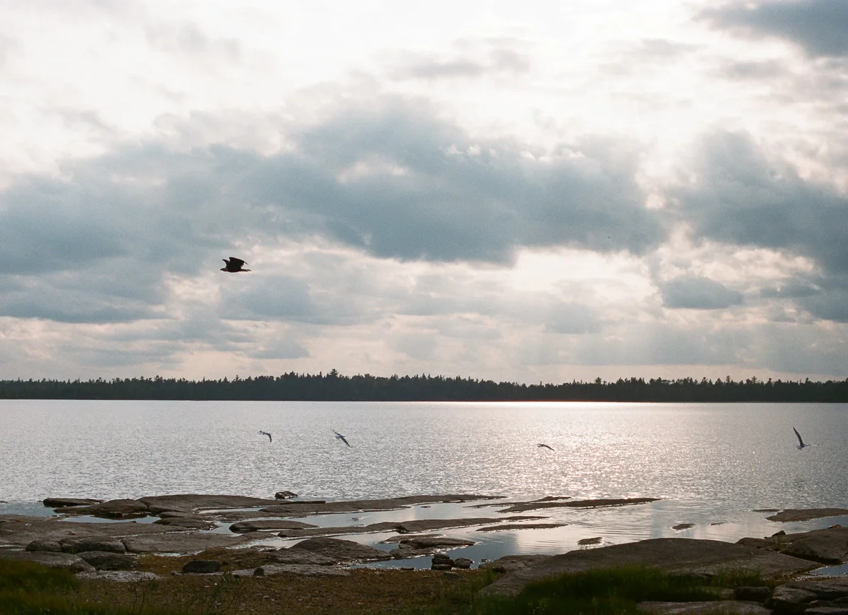 BWCA 2018-15.jpg