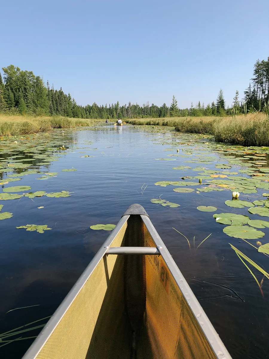 BWCA 2018-18.jpg