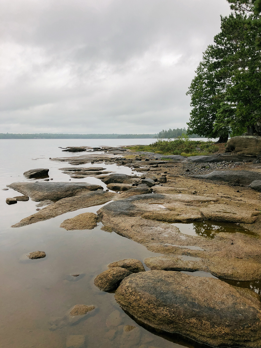 BWCA 2018-28.jpg