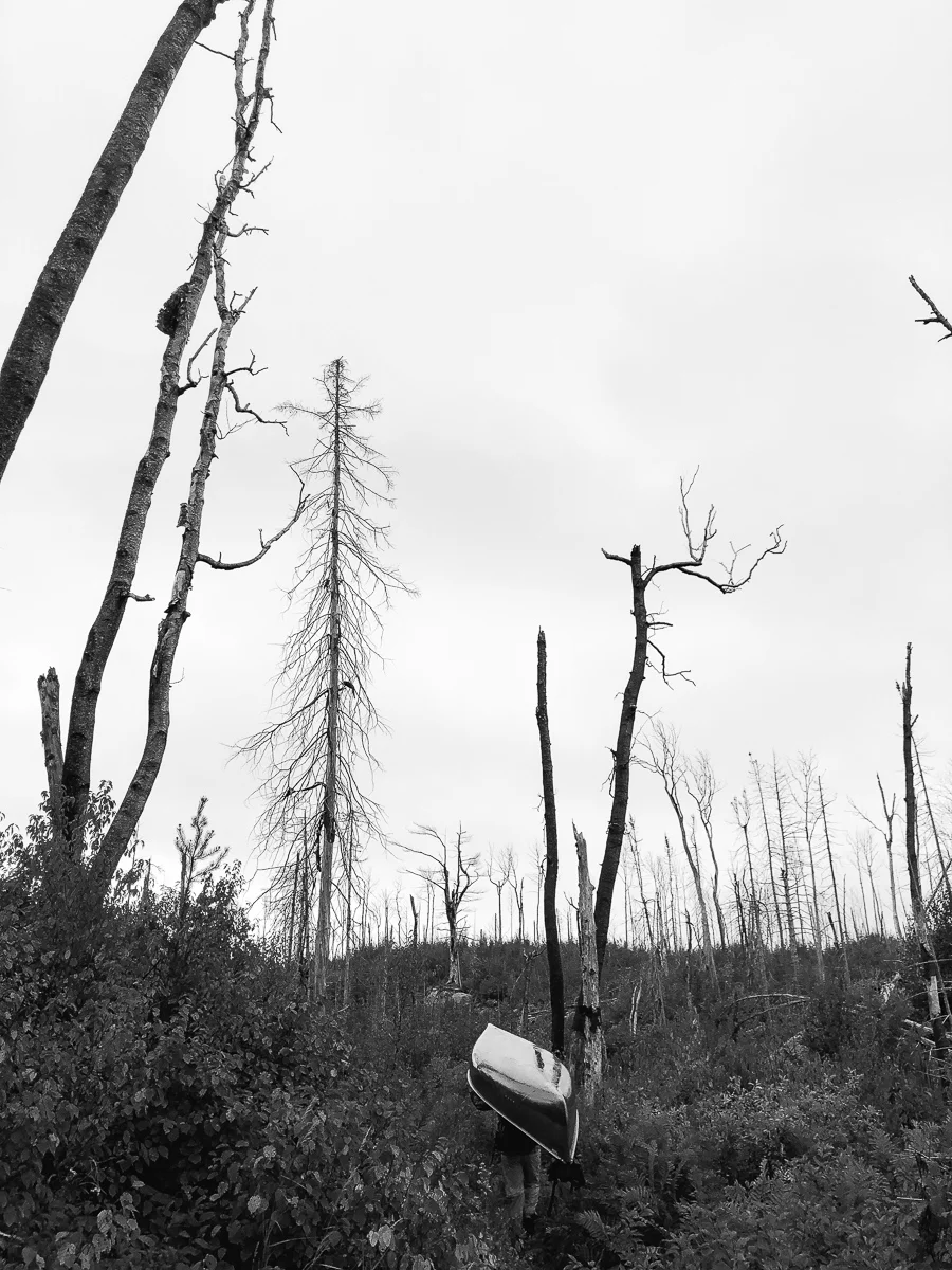 BWCA 2018-43.jpg