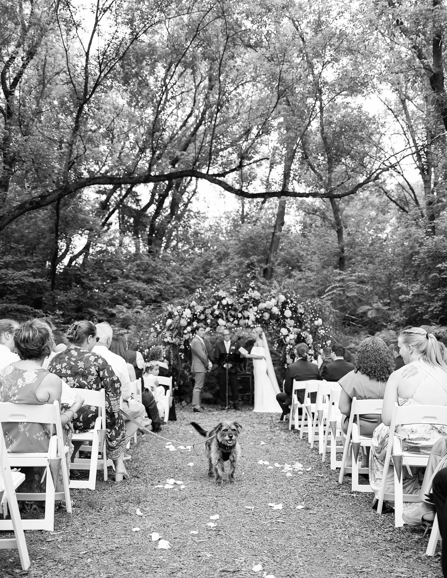 Camrose Hill Wedding Photographer-51.jpg
