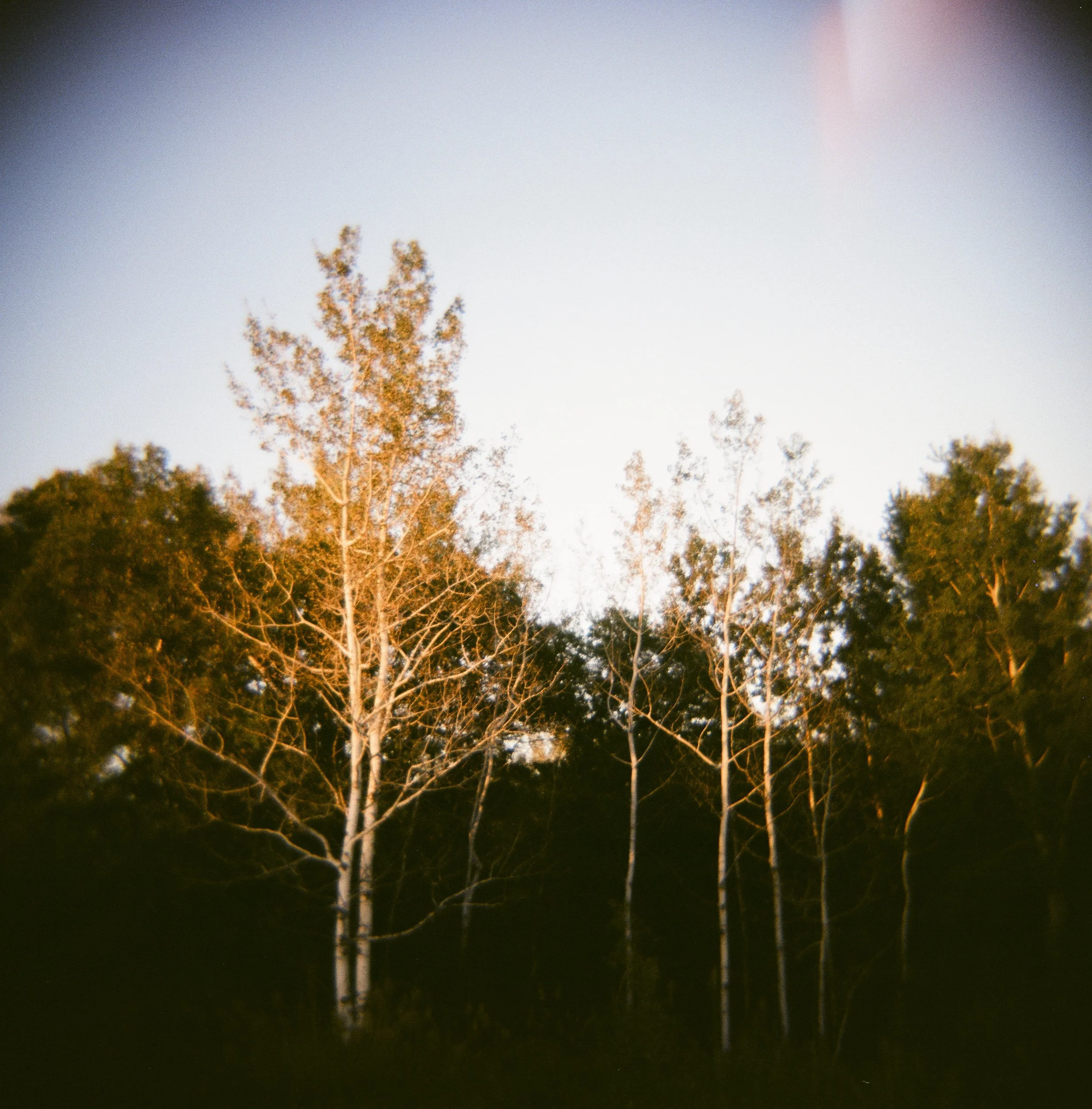 Minneapolis Film Photographer Ryan A Stadler-33.jpg