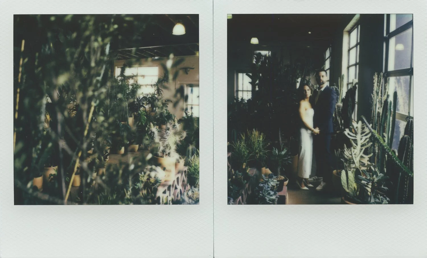 Mother Plants Wedding-4.jpg