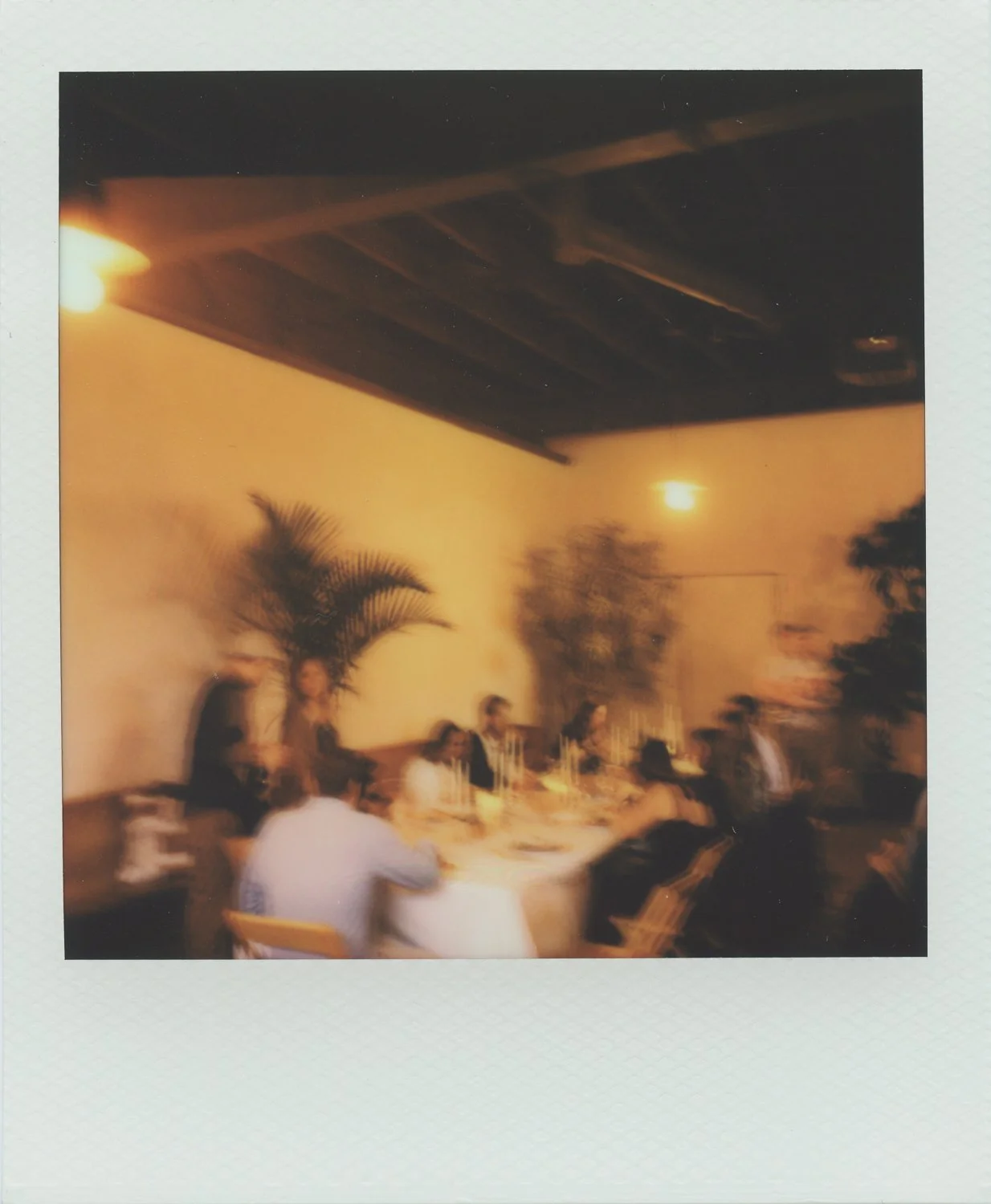 Mother Plants Wedding-30.jpg