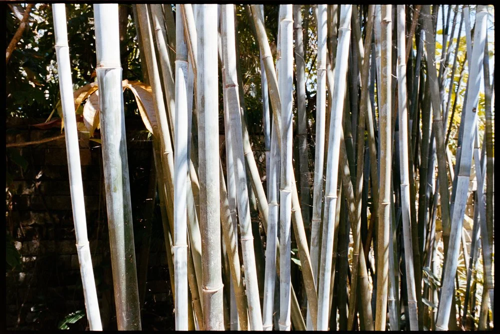 Florida Spring Break-232.jpg