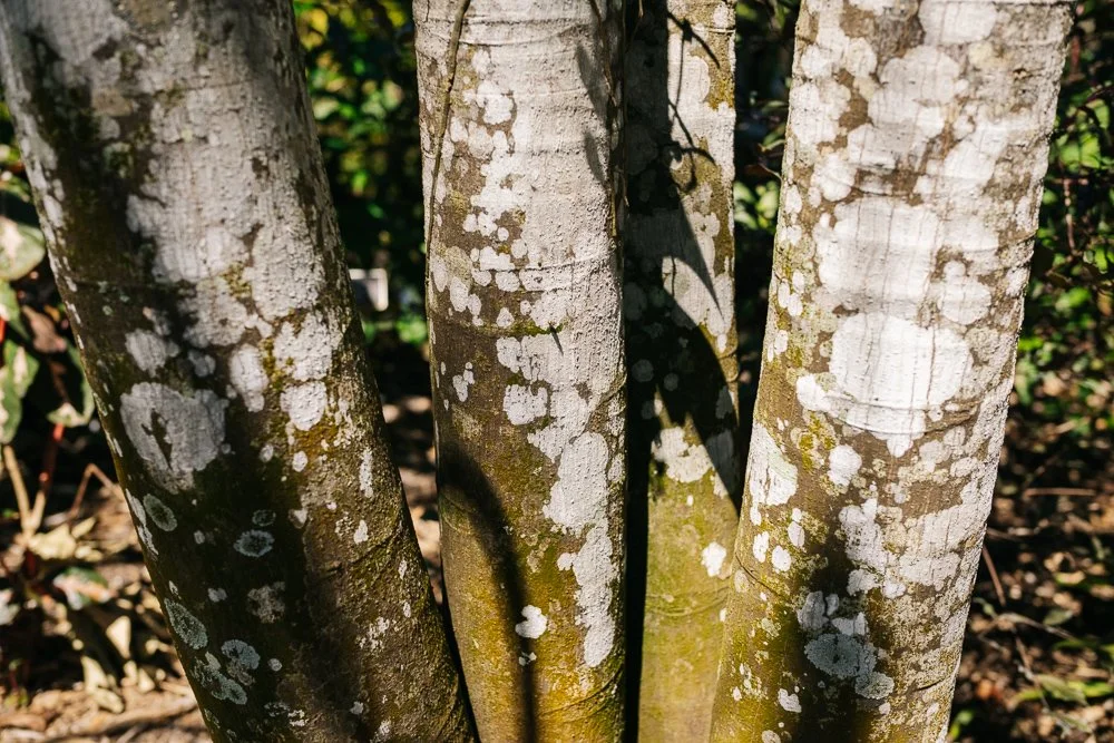 Florida Spring Break-230.jpg