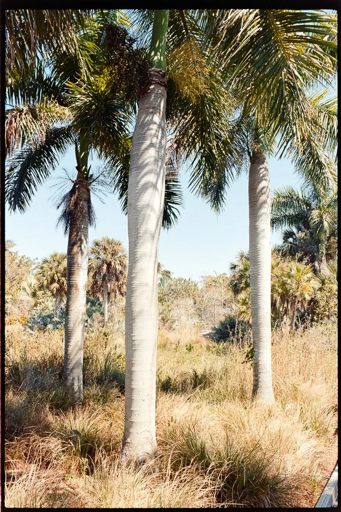 Florida Spring Break-253.jpg