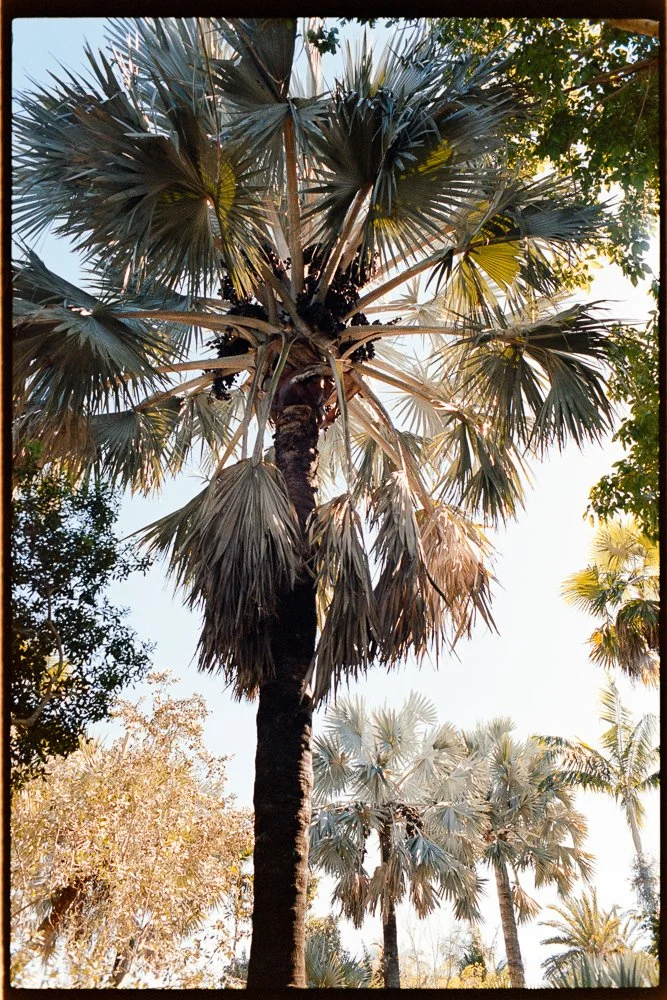 Florida Spring Break-254.jpg