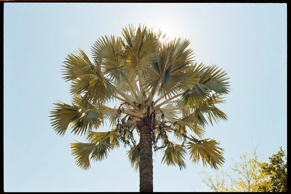 Florida Spring Break-255.jpg