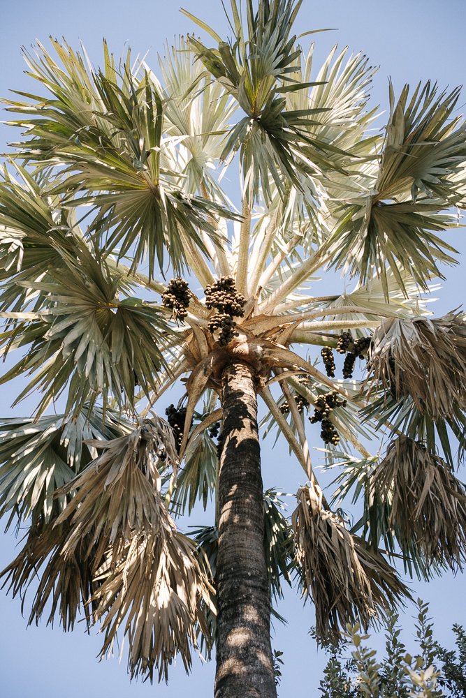 Florida Spring Break-257.jpg