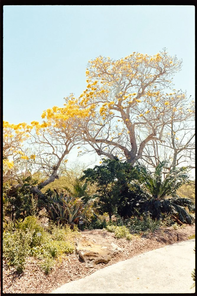 Florida Spring Break-258.jpg