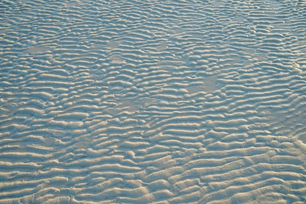 Florida Spring Break-269.jpg