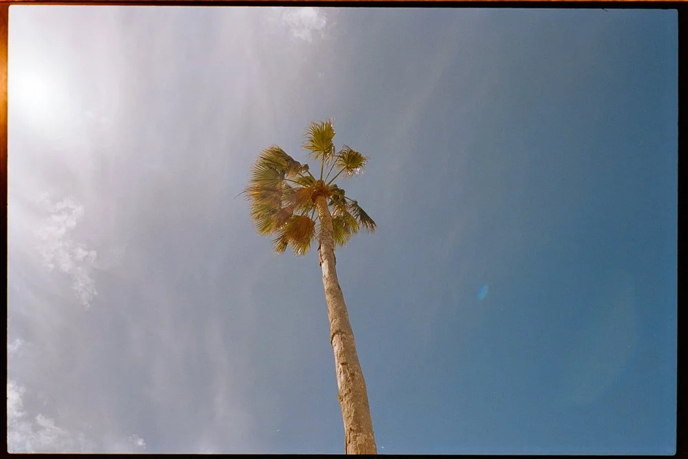 Florida Spring Break-33.jpg