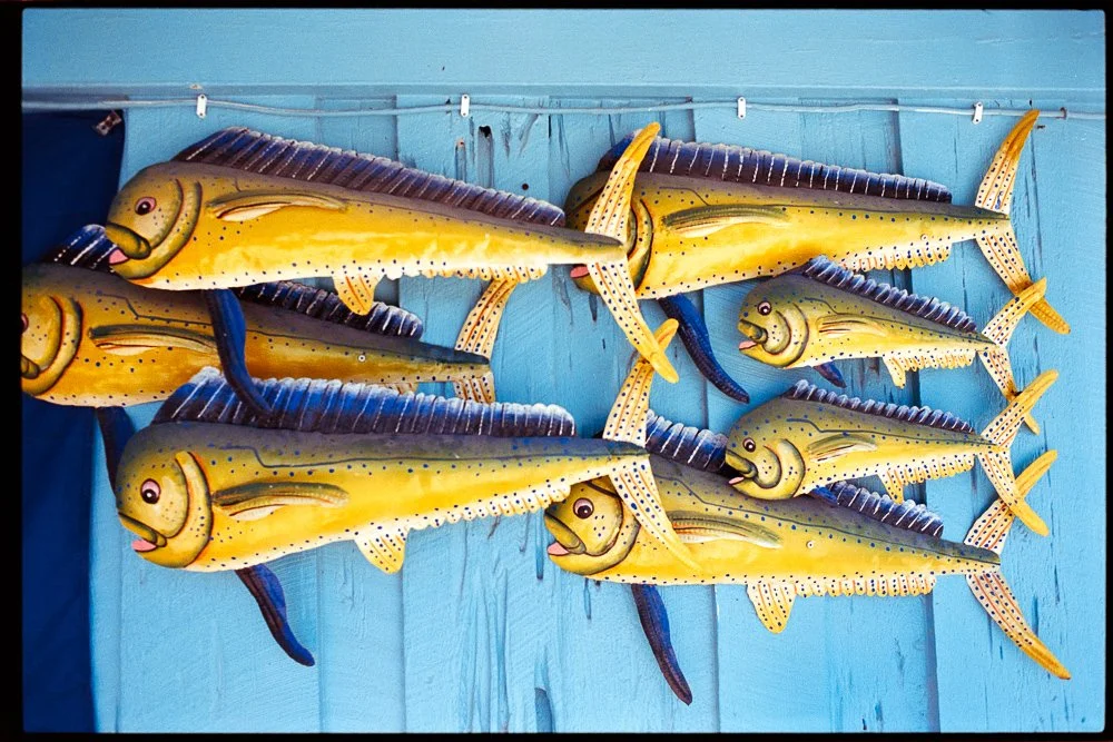 Florida Spring Break-34.jpg