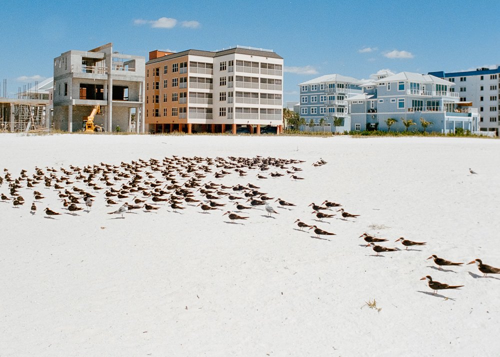 Florida Spring Break-78.jpg