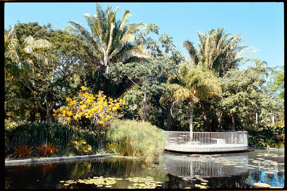 Florida Spring Break-111.jpg