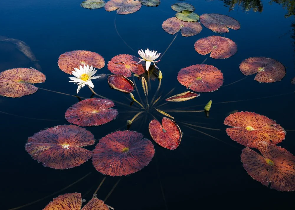 Florida Spring Break-122.jpg