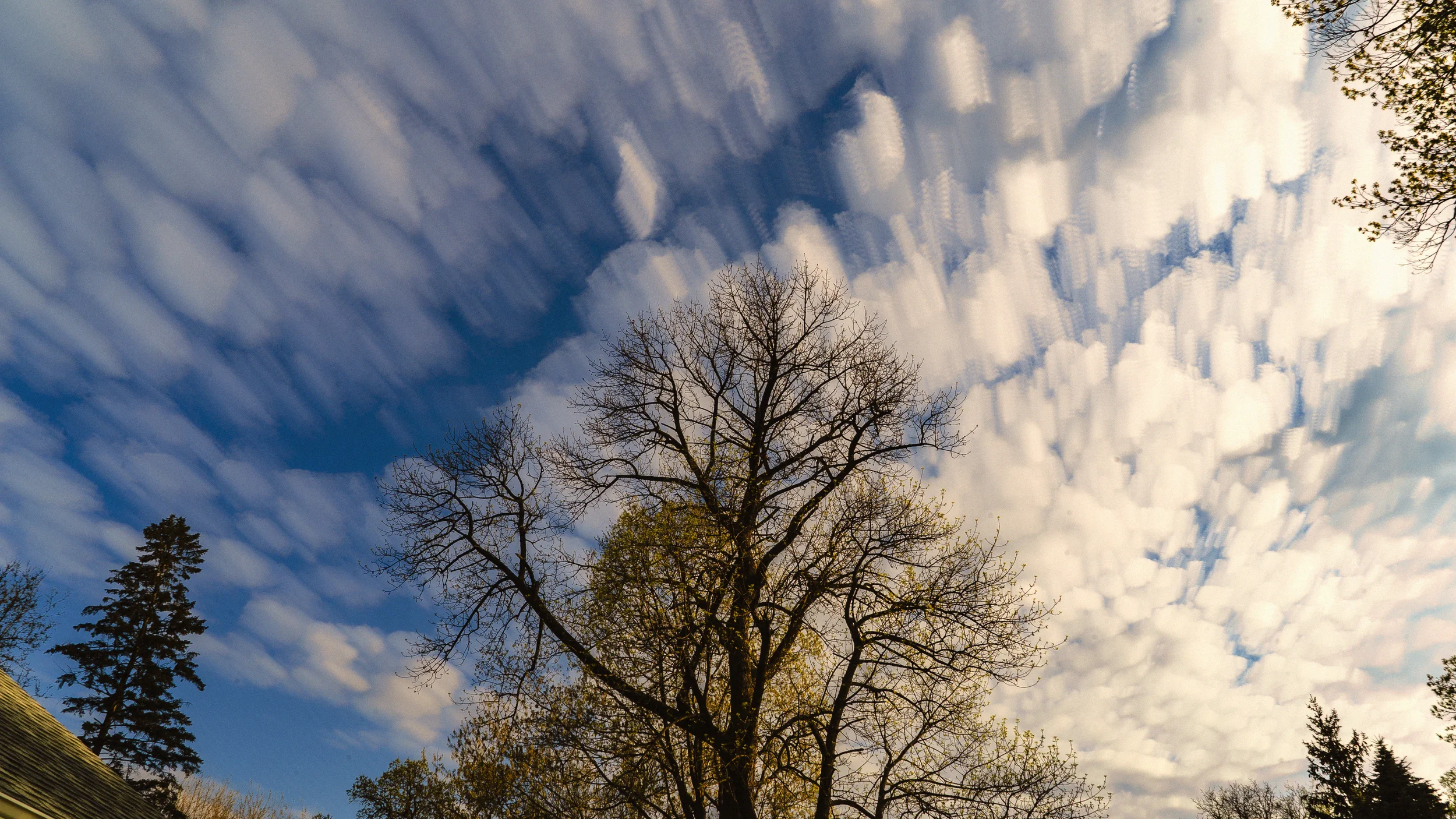 An example of one of my first forays into time collapse photography