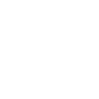 Dunlop.png